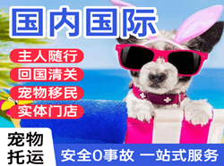 三义航空空运国际宠物托运 【国